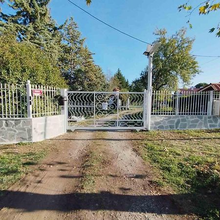 Litochoro Apartment In Estate A1 Pokoj fotografie